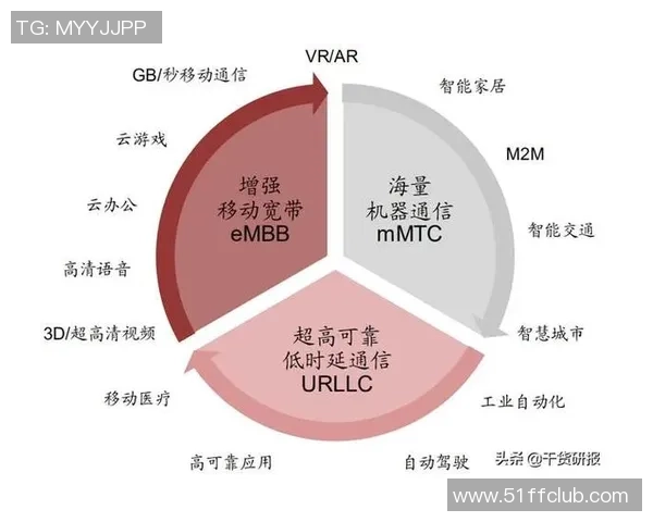 北京篮球队的转型之路：从传统到现代的全面革新探索
